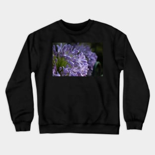 After the Rain Crewneck Sweatshirt